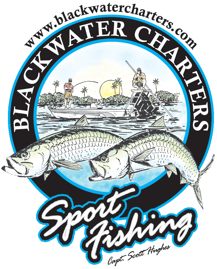 Florida Fishing Guides, Tarpon Fishing Charters in Florida