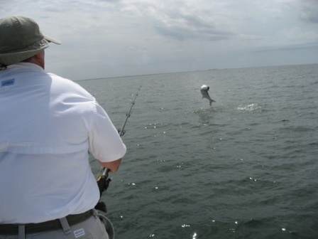 Florida tarpon fishing charter