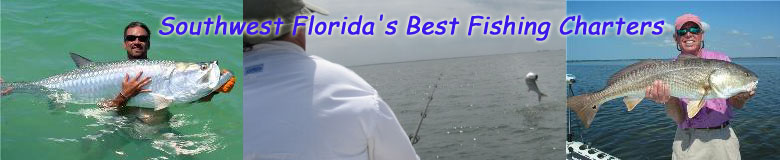 Southwest Florida's Best Fishing Charters! Fishing Fort Myers, Pine Island,  Boca Grande, Charlotte Harbor, Cape Coral and Matlacha.