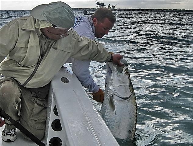 A hot tarpon fishing bite in Boca Grande Pass!