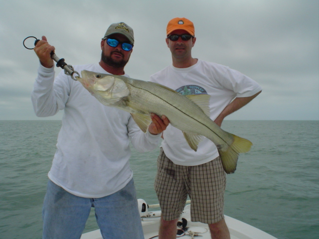 Guided Snook fishing in Florida