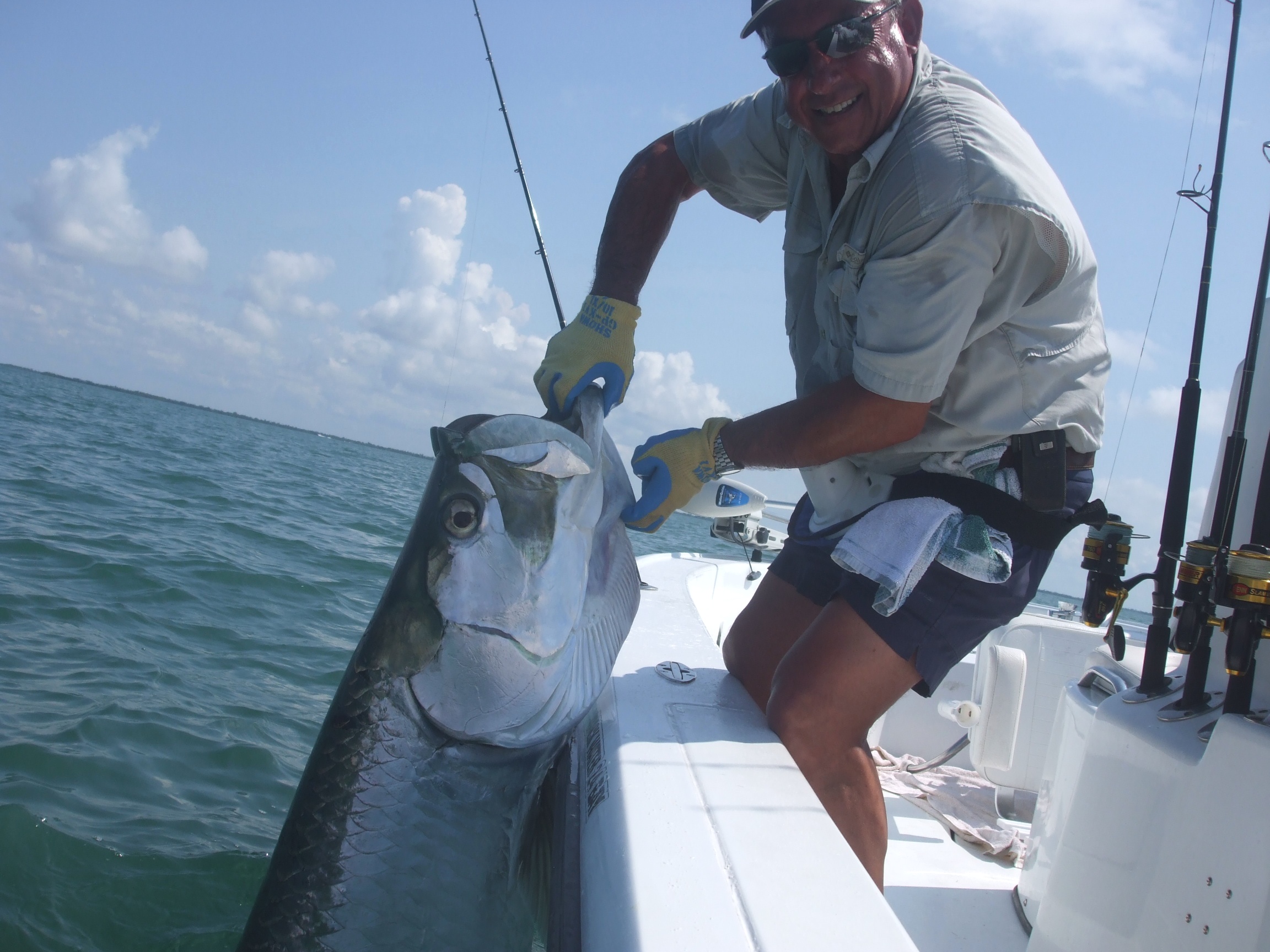 Giant tarpon caught while fishing in Charlotte Harbor near Boca Grande Pass