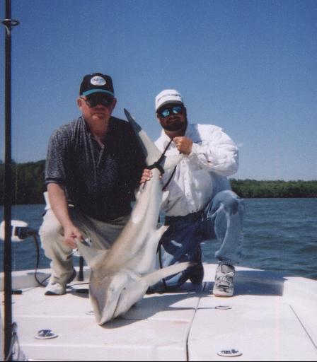 Guided Shark Fishing in Charlotte Harbor and Pine Island Sound