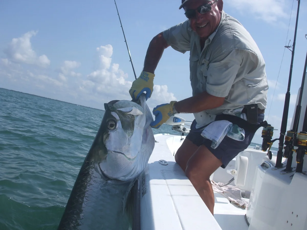 An angler with a large tarpon beside the boat